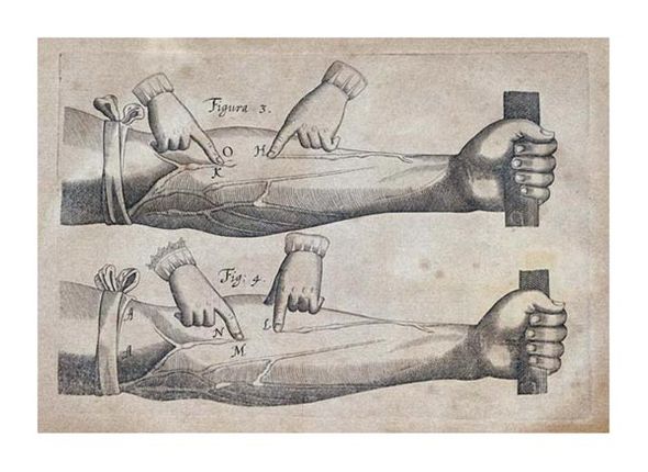 William Harvey Fine Art Open Edition Gicl&eacute;e:"Discovery of the Circulation of Blood"