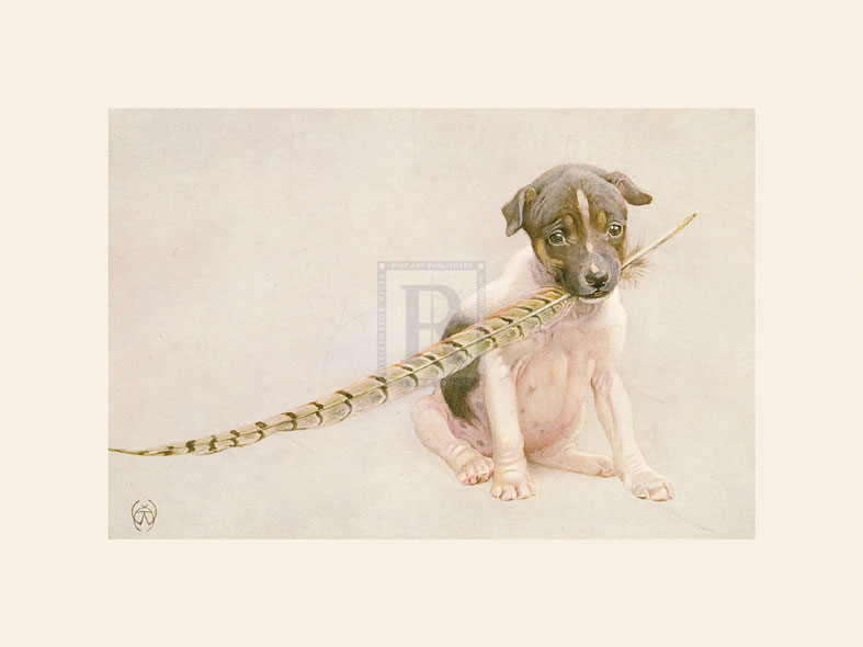 Winifred Austin Hand Numbered Limited Edition Print on Paper :"Featherbrains"