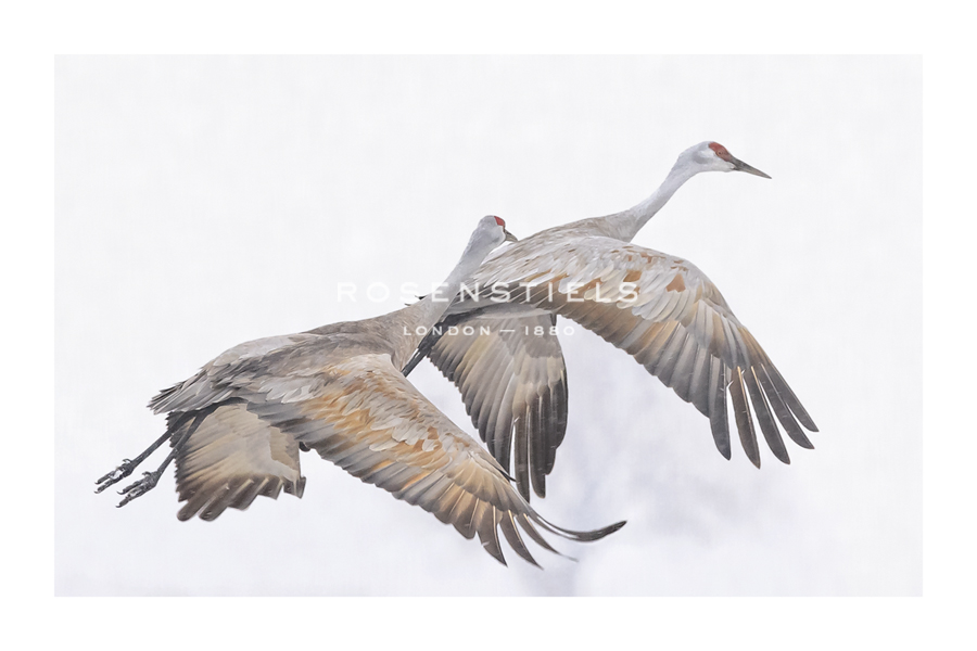 Wink Gaines Hand Numbered Limited Edition Print on Paper :"En Route"