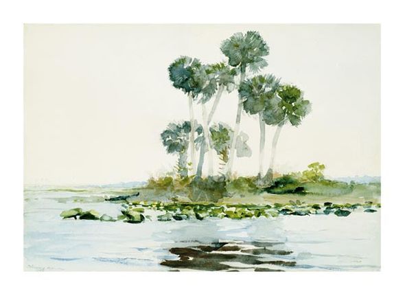 Winslow Homer Fine Art Open Edition Gicl&eacute;e:"St. Johns River, Florida"
