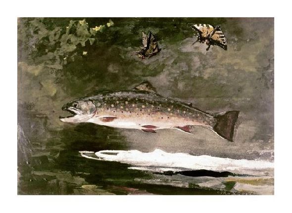 Winslow Homer Fine Art Open Edition Gicl&eacute;e:"Trout"