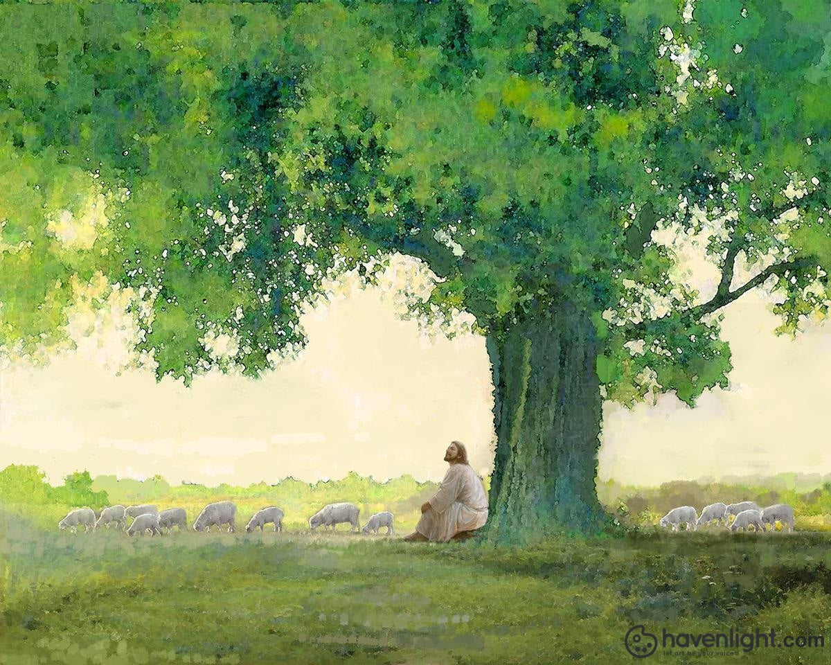 Yongsung Kim Fine Art Canvas Giclee: "Morning Solace" - Yongsung Kim
