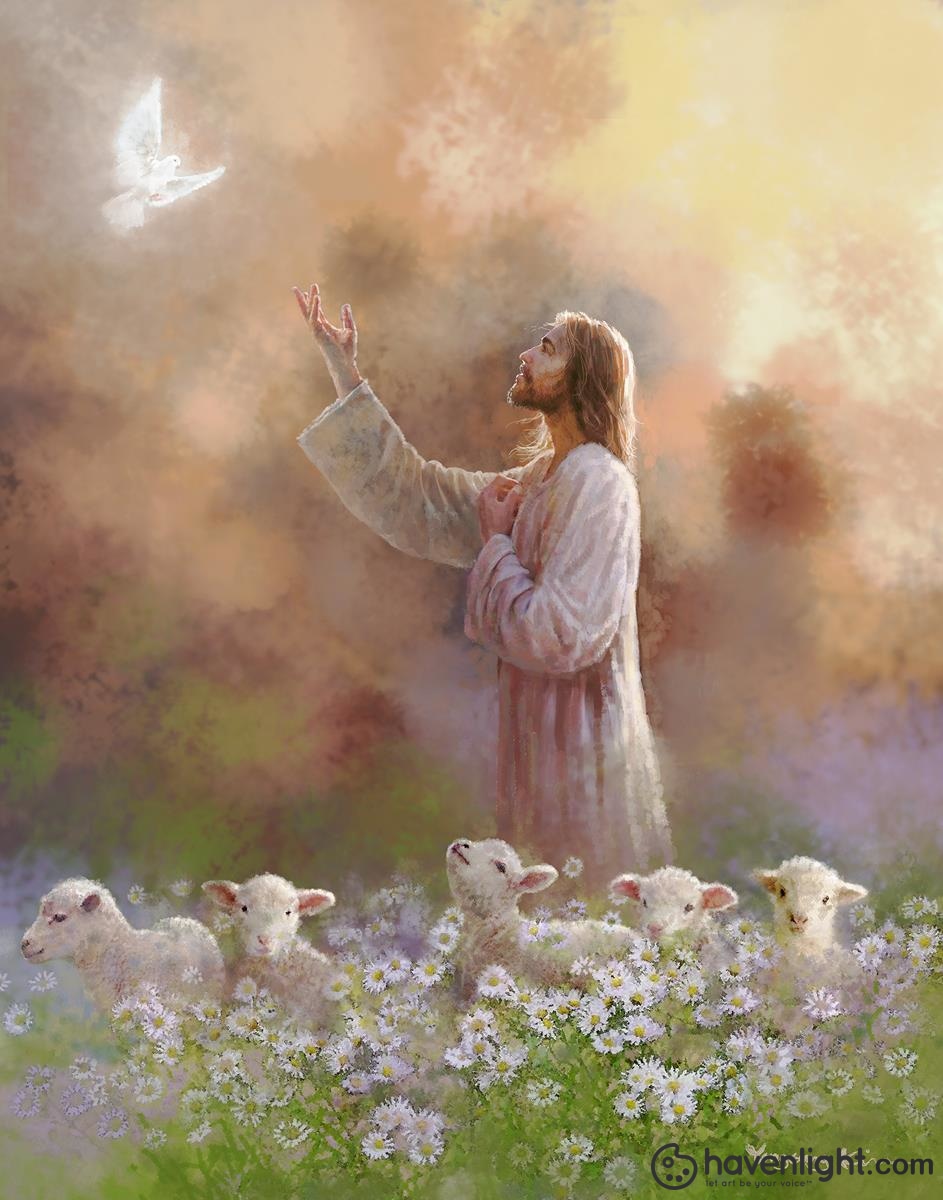 Yongsung Kim Fine Art Canvas Giclee: "Prince of Peace" - Yongsung Kim