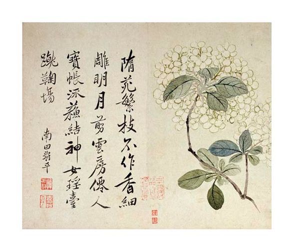 Yun Shouping Fine Art Open Edition Gicl&eacute;e:"Hydrangeas"