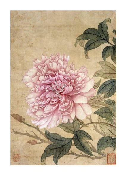 Yun Shouping Fine Art Open Edition Gicl&eacute;e:"Peony from Album of Flower Paintings"