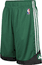 Adidas Boston Celtics 10 Inseam Pre-Game Shorts