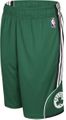 Adidas Boston Celtics Dream Shorts