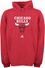 Adidas Chicago Bulls Red Full Court Hoodie