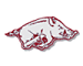 Arkansas Razorbacks Boxer Shorts