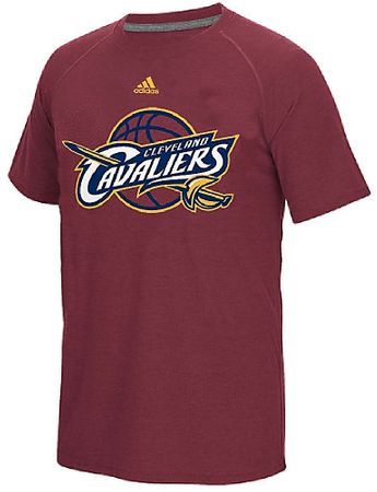 Mens Cleveland Cavaliers Adidas Wine Huge Preferred Logo ClimaCool Short Sleeve Shirt
