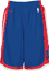 Detroit Pistons NBA Embroidered 2nd Season Adidas Basketball Shorts