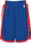 Detroit Pistons NBA Embroidered 2nd Season Adidas Basketball Shorts