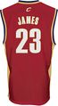 LeBron James Cleveland Cavailers Youth NBA Replica Basketball Jersey By Adidas
