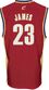 LeBron James Cleveland Cavailers Youth NBA Replica Basketball Jersey By Adidas