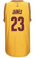 LeBron James Cleveland Cavaliers Gold Swingman Basketball Jersey by Adidas
