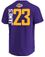 Lebron James Los Angeles Lakers Mens Purple Vertical Short Sleeve T Shirt on Sale
