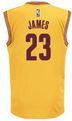 LeBron James Youth Cleveland Cavaliers Gold Embroidered Swingman Basketball Jersey by Adidas