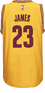 Lebron James Youth Cleveland Cavaliers Gold Replica Basketball Jersey by Adidas