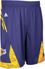 Los Angeles Lakers Purple NBA Pre-Game Authentic Basketball Shorts by Adidas