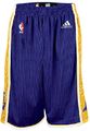 Los Angeles Lakers Youth Purple Swingman Baskeball Shorts By Adidas