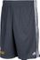 Golden State Warriors Grey Climalite Lead Practice Shorts by Adidas