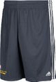 Golden State Warriors Grey Climalite Lead Practice Shorts by Adidas