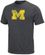 Michigan Wolverines Mens Fan Since Birth Short Sleeve Tee Shirt by Majestic