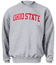 Ohio State Buckeyes Grey Embroidered Collegiate Crewneck Champion Sweashirt