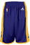 OUT OF STOCK Los Angeles Lakers Purple Youth 8" Inseam NBA Replica Basketball Shorts By Adidas
