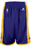 OUT OF STOCK Los Angeles Lakers Purple Youth 8" Inseam NBA Replica Basketball Shorts By Adidas