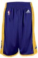 OUT OF STOCK Los Angeles Lakers Purple Youth 8" Inseam NBA Replica Basketball Shorts By Adidas
