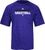 Sacramento Kings Adidas Heather Purple Authentic On-Court SS Practice Climalite Shirt