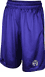 Sacramento Kings Purple Embroidered 12 inch Inseam Hoop Shorts by Adidas