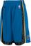 Washington Wizards Adult NBA 10 Inseam Gear Basketball Shorts By Adidas