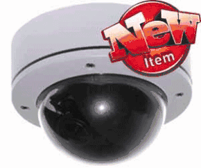 (Click to Enlarge) Professional Vandal Proof Dome Camera