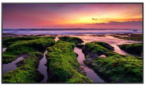 (Click to Enlarge) SAMSUNG [QB55B] - SAMSUNG REFER TO QB55C ONCE STOCK HAS DEPETED  55-INCH COMMERCIAL 4K UHD LED LCD DISPLAY  350 NIT - MANUFACTURED IN MEXICO [QB55B]