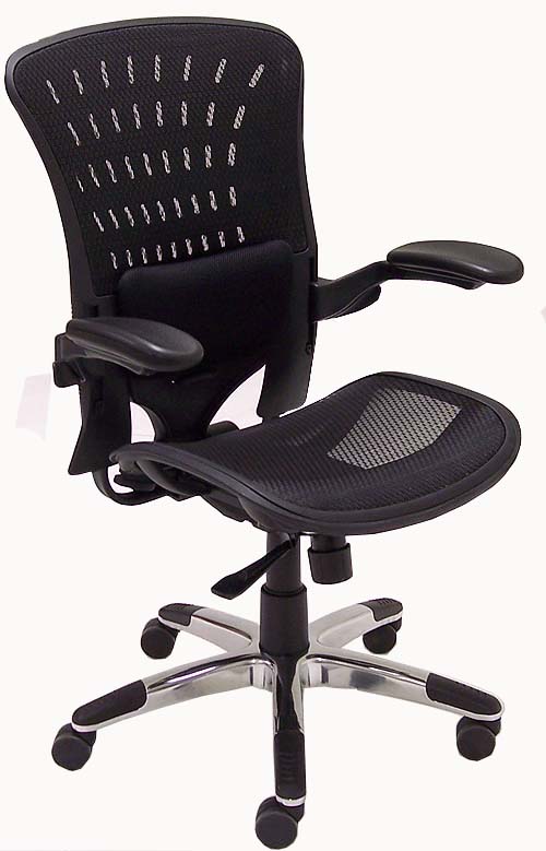 ErgoFlex Ergonomic AllMesh Office Chair 350 Lb.