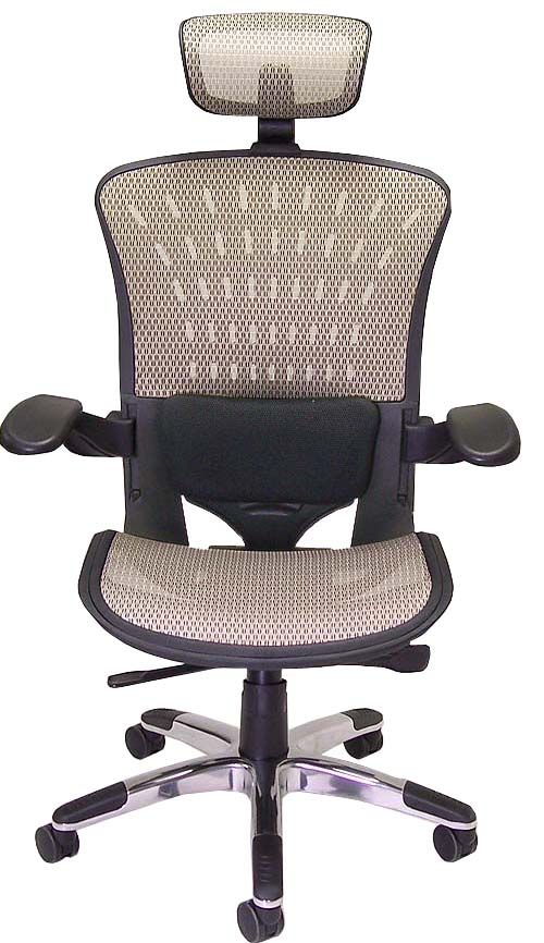 350 Lbs. Capacity ErgoFlex Ergonomic AllMesh Office Chair w/Headrest