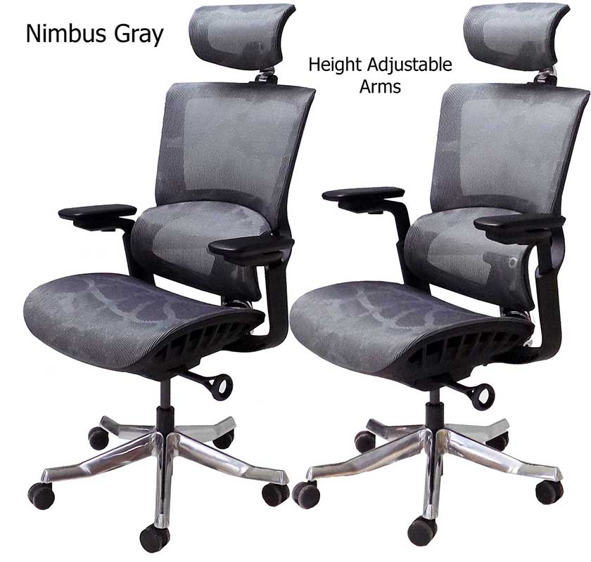 Premium Elastic Mesh 300 PoundCapacity Office Chair with Headrest