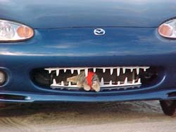Mazda MX-5 Miata Alley Gator Teeth Grille Insert