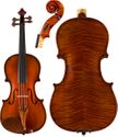 August F. Kohr 915 Viola
