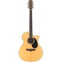 Austin, AA60-GEC, Series Grand Auditorium, Electric / Cutaway