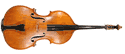 Bass