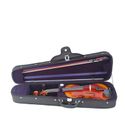 Bazzini Maestro Violin Outfit