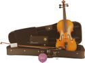 Bazzini Special Violin Outfit