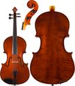 Core Academy 25 Viola