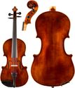 Core Academy 10 Violin Outfit