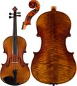 Core Conservatory Viola