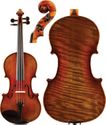 Select Emiliani Violin