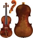Select Strad Model 2900